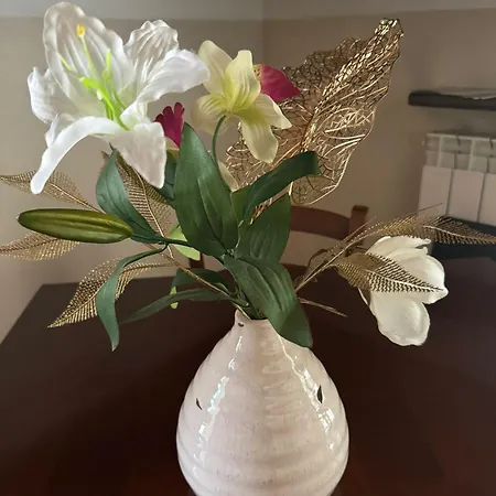 Nonnos Panorama Apartamento